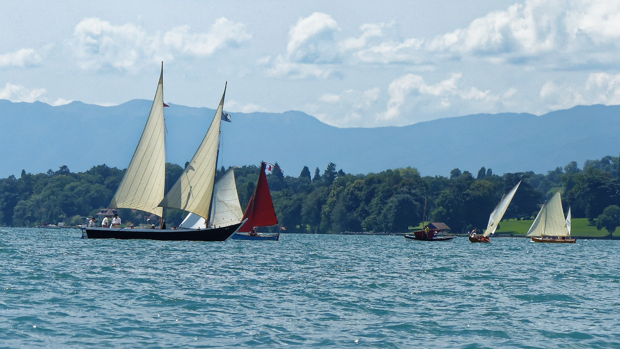 On distingue les voiles rouges d'Hervé au milieu de ces bateaux suisses. 
