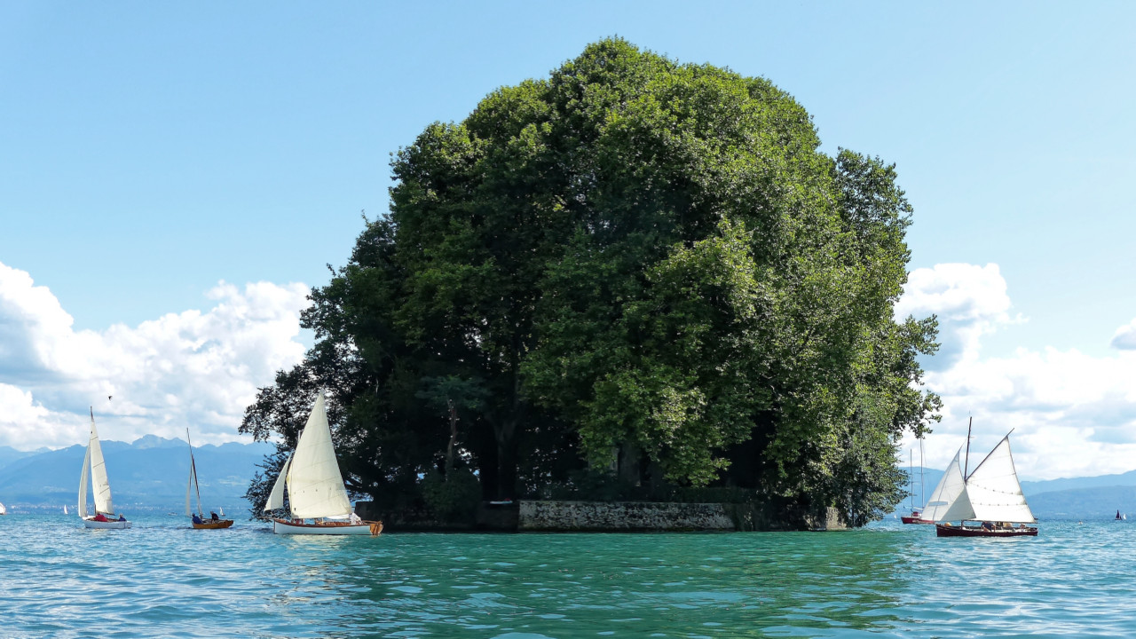 Les arbres de l'Ile de La Harpe sont devenus si grand que l'ile fait une boule verte posée sur l'eau ! 